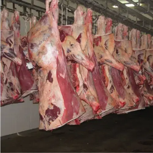 Thăn Lưng Trâu Đông Lạnh Giá Sỉ 